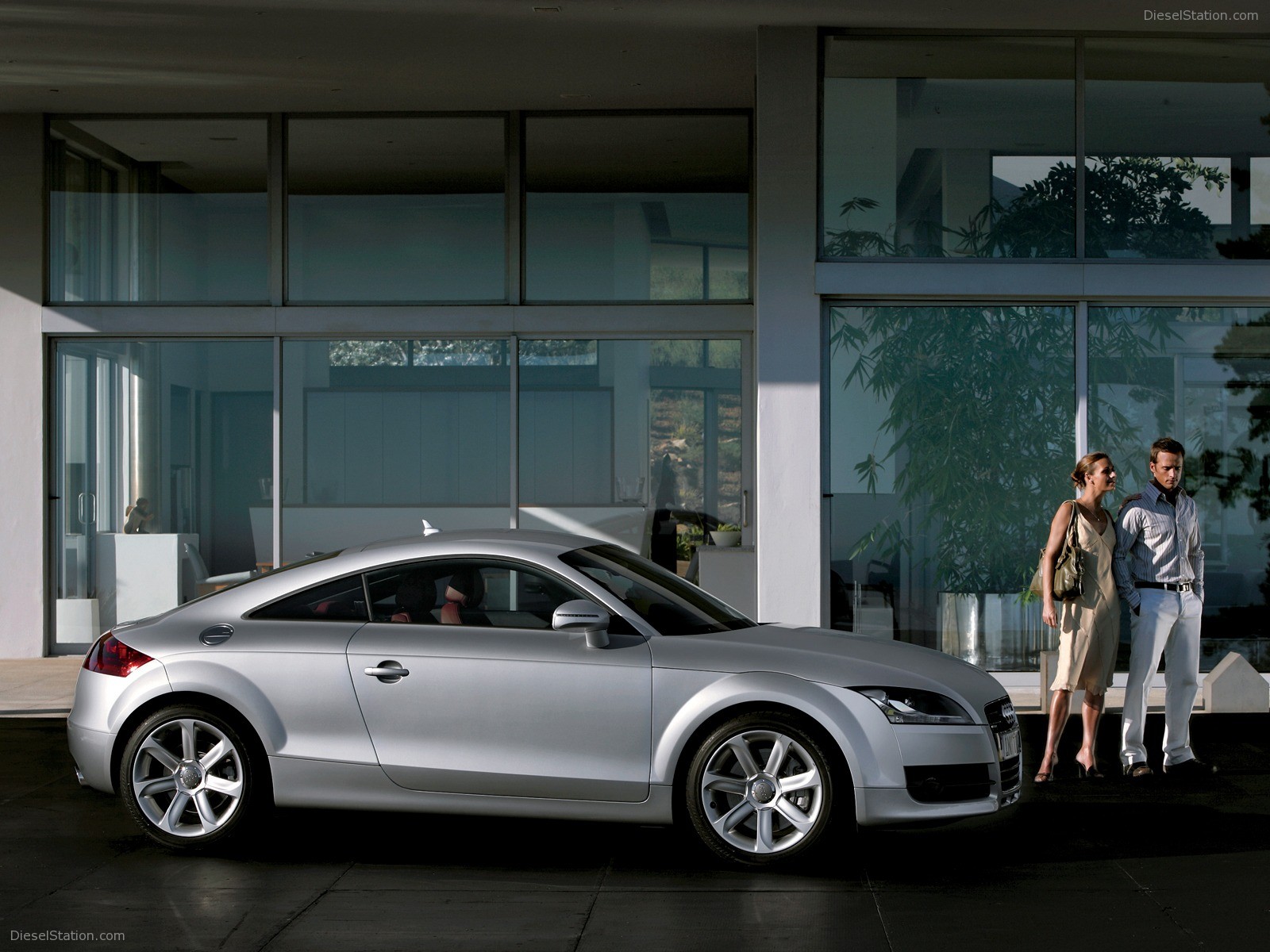 Audi TT Coupe (2006)